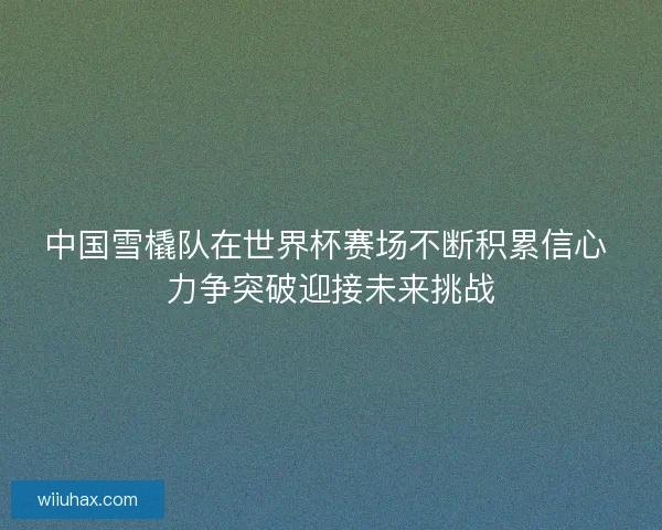 中国雪橇队在世界杯赛场不断积累信心 力争突破迎接未来挑战