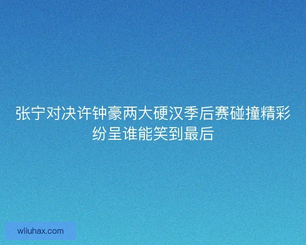 张宁对决许钟豪两大硬汉季后赛碰撞精彩纷呈谁能笑到最后