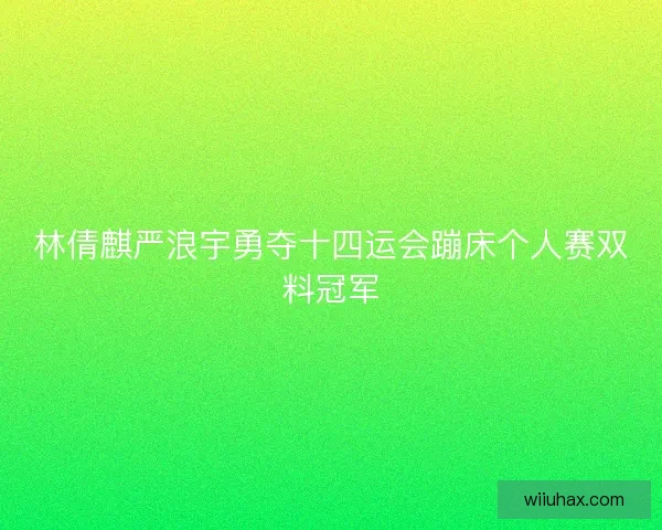 林倩麒严浪宇勇夺十四运会蹦床个人赛双料冠军