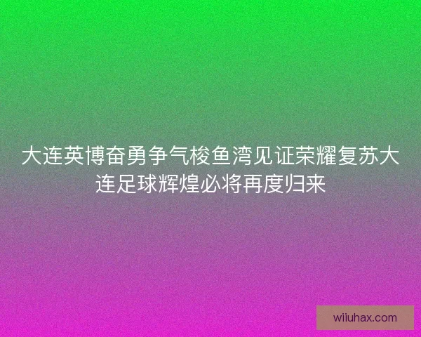 大连英博奋勇争气梭鱼湾见证荣耀复苏大连足球辉煌必将再度归来